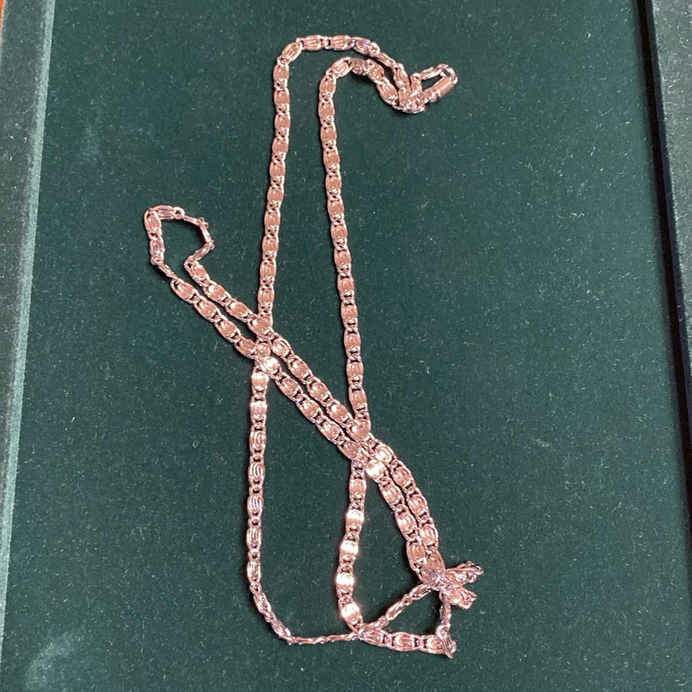 Silvertone Long Chain Easy Open And Close - image 8